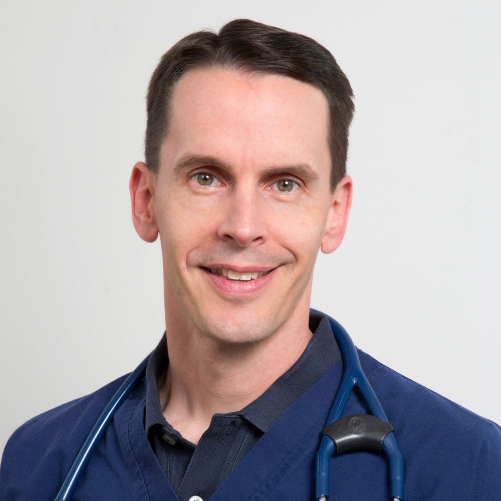 Veterinarians Porter Square Vet