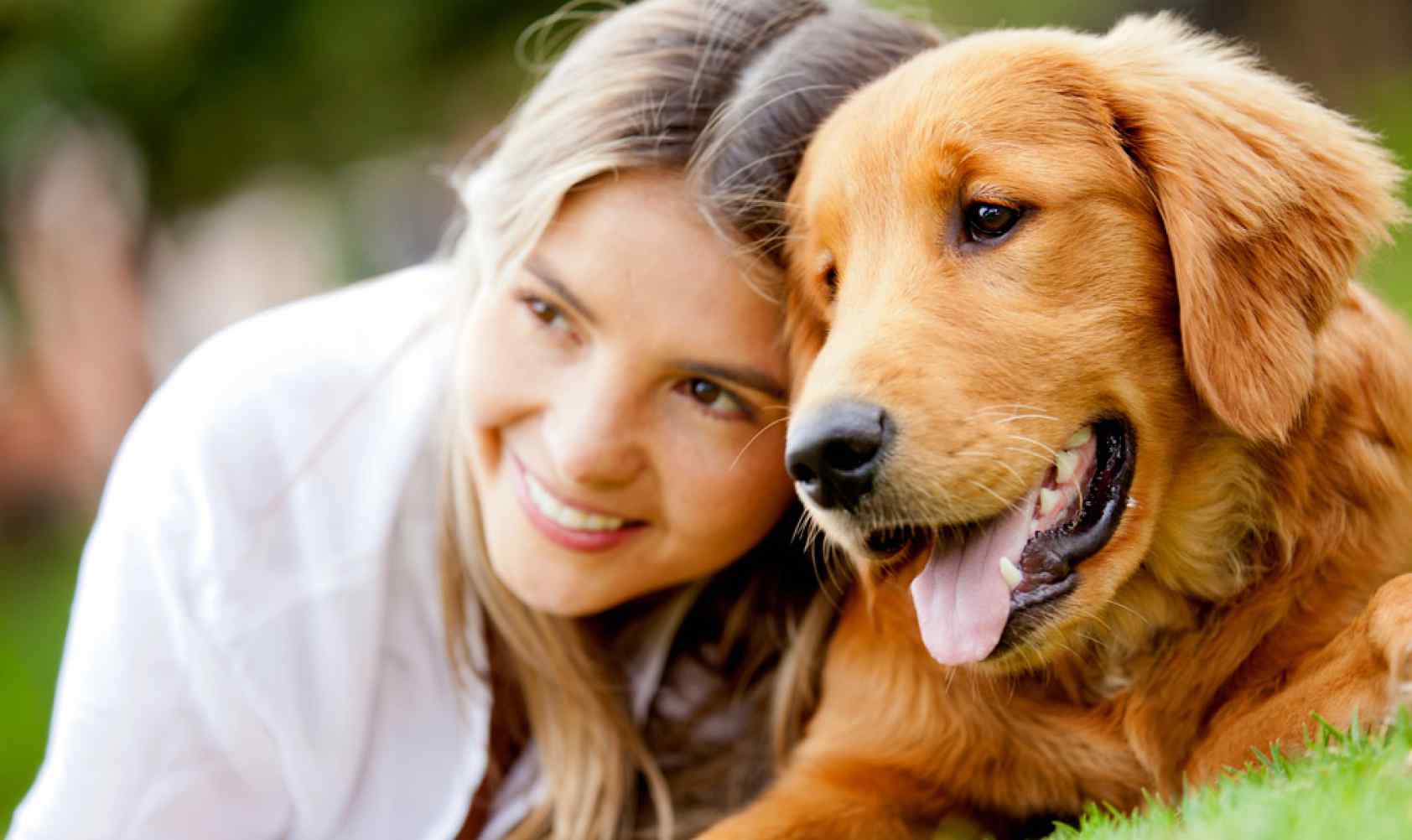 somerville-dog-owner.jpg
