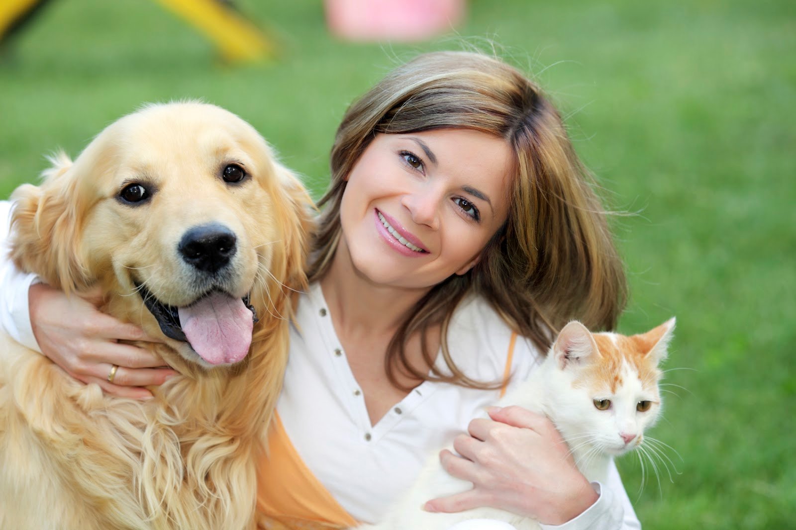 porter-square-vet-blog.jpg